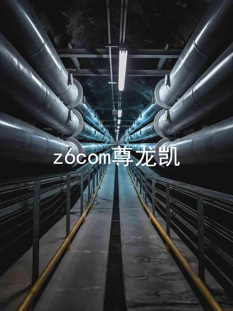 z6com尊龙凯