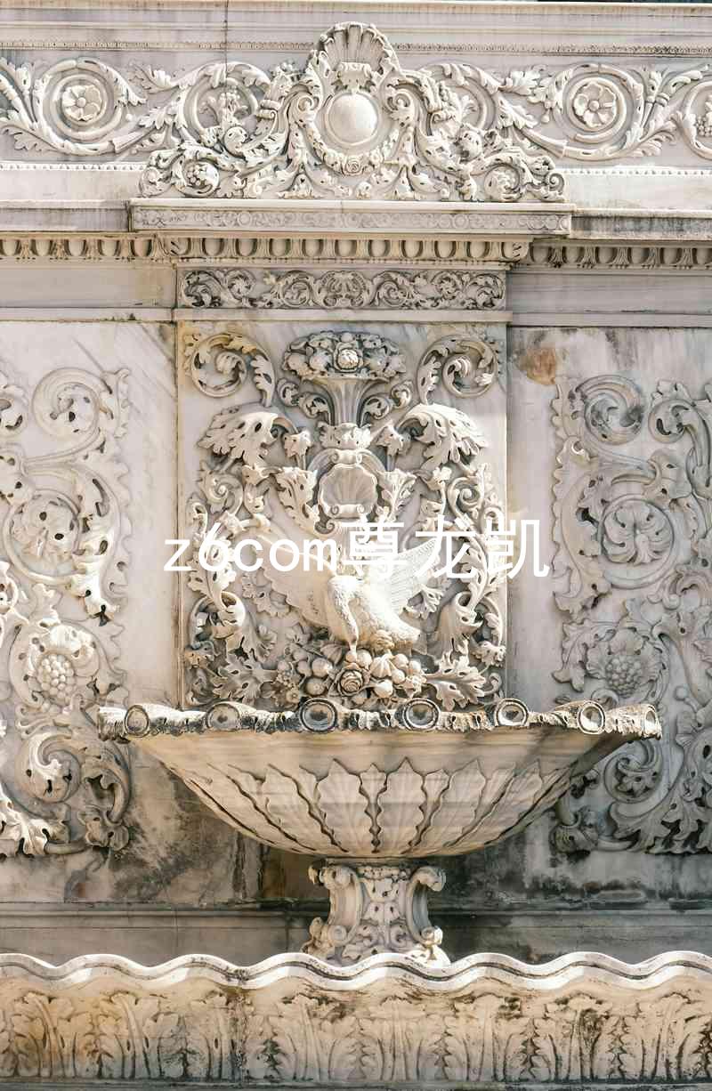 z6com尊龙凯